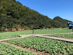 -广州市石门国家森林公园