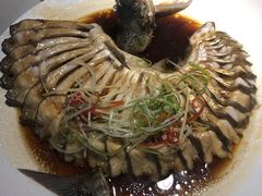 清蒸武昌鱼-小凤庭·地道湖北菜武昌鱼·铫子藕汤(黄鹤楼店)