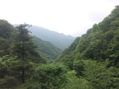 -王顺山国家森林公园