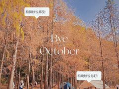 -青龙山国家森林公园