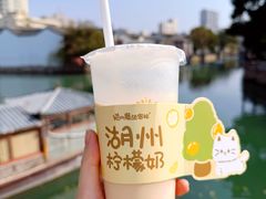 -猫的魔法密林(衣裳街店)