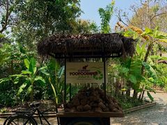 -大象粑粑造纸公园