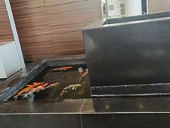 -北京鹏龙瑞星奔驰4s店(来广营店)