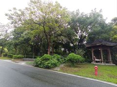 -海珠湖公园