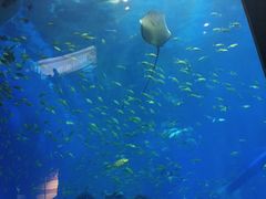 -成都浩海立方海洋公园