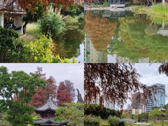 -四海公园(南山区)