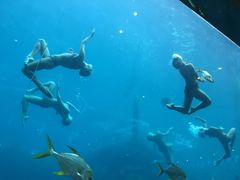 -瑞德姆美人鱼海底演艺主题餐厅(亚龙湾店)