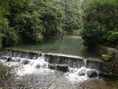 iphone_upload_pic-九溪烟树