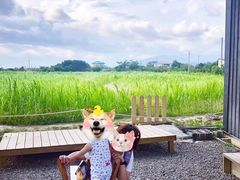 -鹿境梅花鹿生态园区