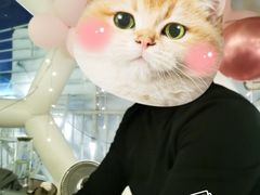-天空花园餐吧·生日·团建(南山店)