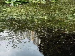 -成都市活水公园