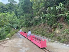 -广东天露山旅游度假区