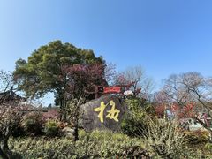 -无锡梅园公园