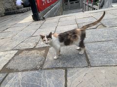 -终南山南五台景区