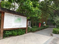 -罗三妹山