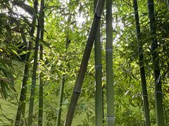 -山塘街