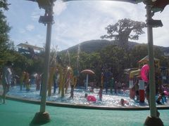 -苏州乐园森林水世界