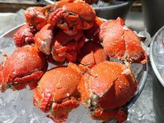 -亚龙湾希尔顿自助餐厅·海鲜·烧烤·沙滩BBQ·现场乐队