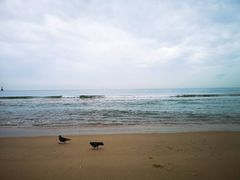 -海云台海滩