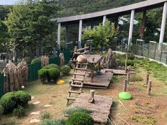 -大连森林动物园