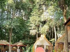 -二荆条·蜀鲜汇城市森林火锅