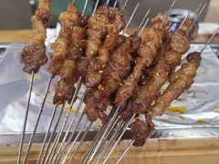 -鼎原力量东北吊炉烧烤(临河街店)