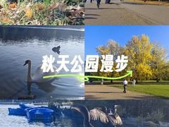 -海德公园