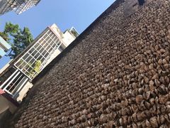 -小洲村