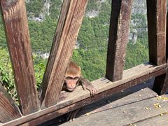 -重庆云阳龙缸景区