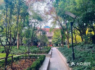 在市中心的中心发现了一片森林
