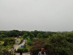 -鹤之洲湿地公园