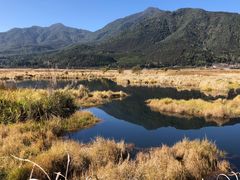 -腾冲北海湿地