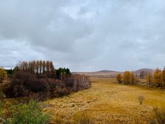 -塞罕坝国家级自然保护区