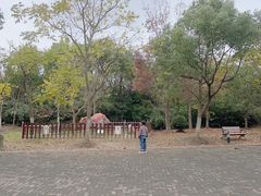 -上海海湾国家森林公园