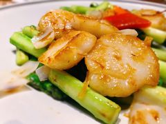 芦笋炒澳洲带子-北京泰富酒店-柏景轩中餐厅