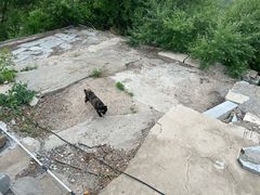 -抱犊寨风景区