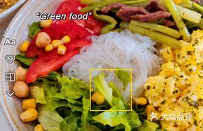 Stir-Fried Beef with Konjac Noodles Hot Salad