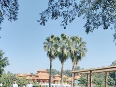 -三水森林公园