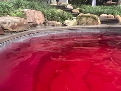 -融汇温泉