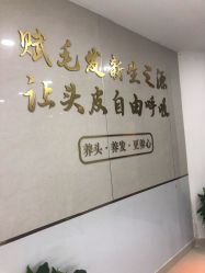 点击看大图 -新生植发·植养护一体