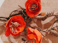 -鸽子窝(万丰路店)