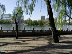 -迎泽公园