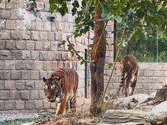-北京野生动物园