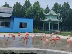 -秦皇岛野生动物园