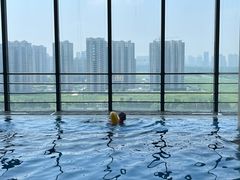 -廊坊固安福朋喜来登酒店
