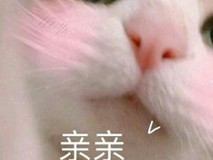 -意成料理