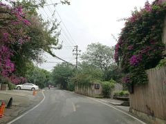 -三圣花乡旅游区