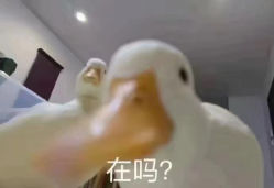 -奇文堂专业纹身馆