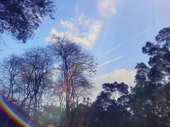 -广州市白云山风景名胜区