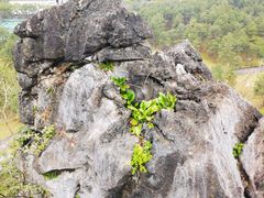 -Club Med地中海俱乐部·桂林度假村